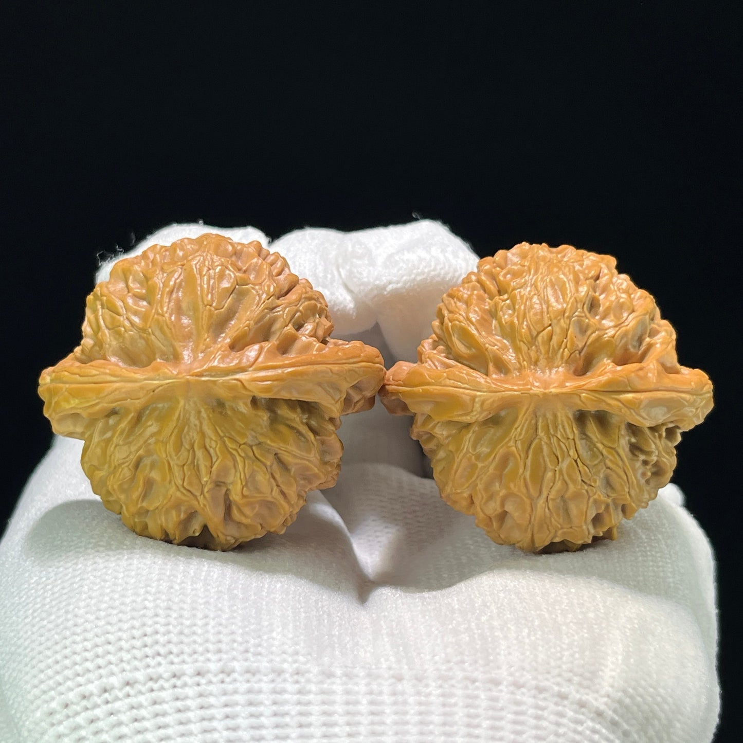 The "Squat Pumpkin" (Nan Gua Dun) Full-Bellied Giant | 44.0mm x 45.0mm | NGD-904
