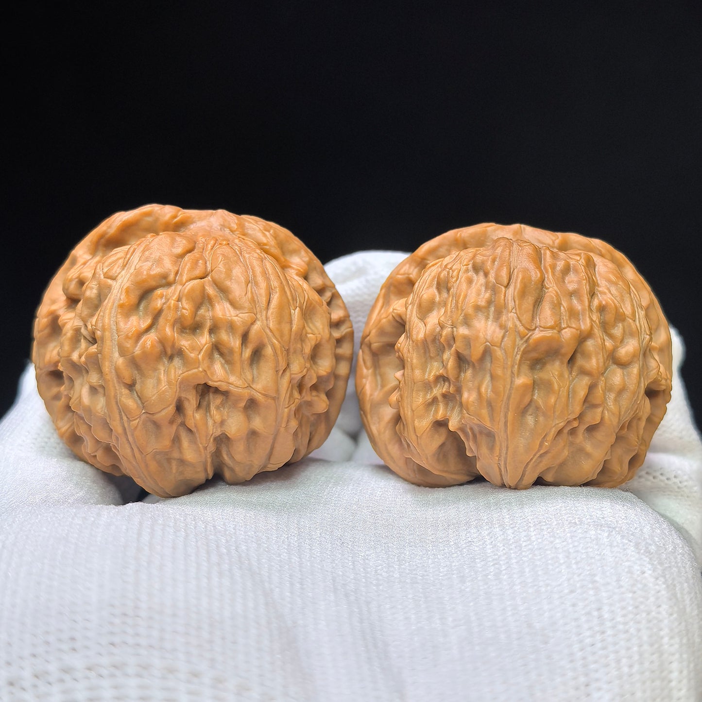 "White Lion Turtle-Back" Baishizi Wuguibei Wenwan Walnuts Pair | 42.0mm x 40.0mm | BSJWGB-C235E
