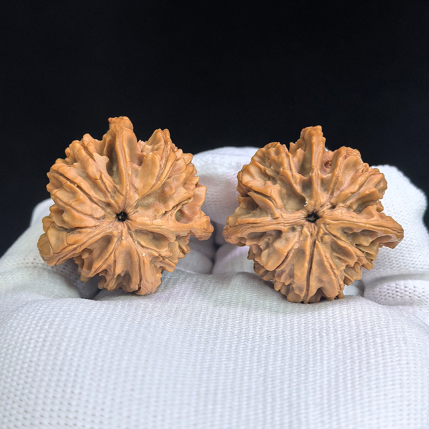 "Three-Ribbed Reaching Heaven Eight" Tongtianba Sanling TTBSN-SY1H3 Rare Wenwan Walnuts Pair | 35.0mm x 36.0mm | TTBSN-SY1H3