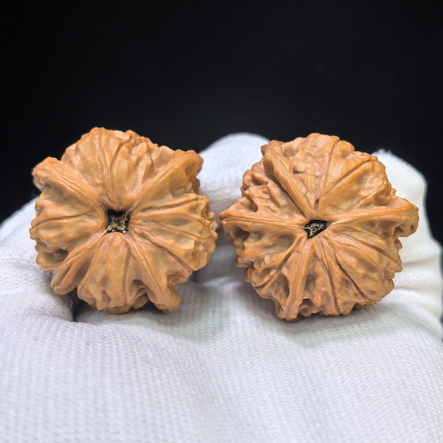 "Imperial Jade Seal X-Men" Yuxi Sileng X-Zhanjing Four-Ribbed Wenwan Walnuts Pair | 36.0mm x 37.0mm | YSFN-C229E