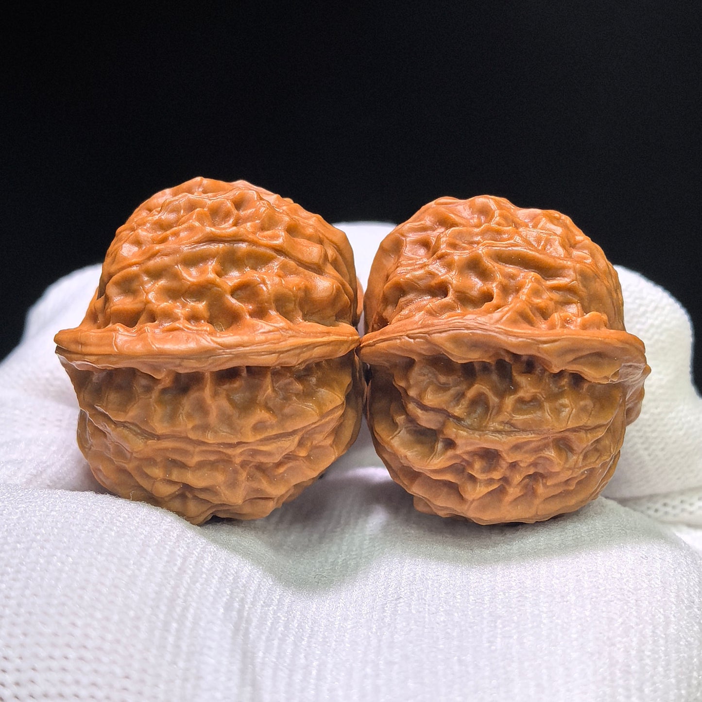 "Porcelain Doll Turtle Back" Cwwwgb-CG211E Wenwan Walnuts Pair | 40.0mm x 37.0mm | CWWWGB-CG211E