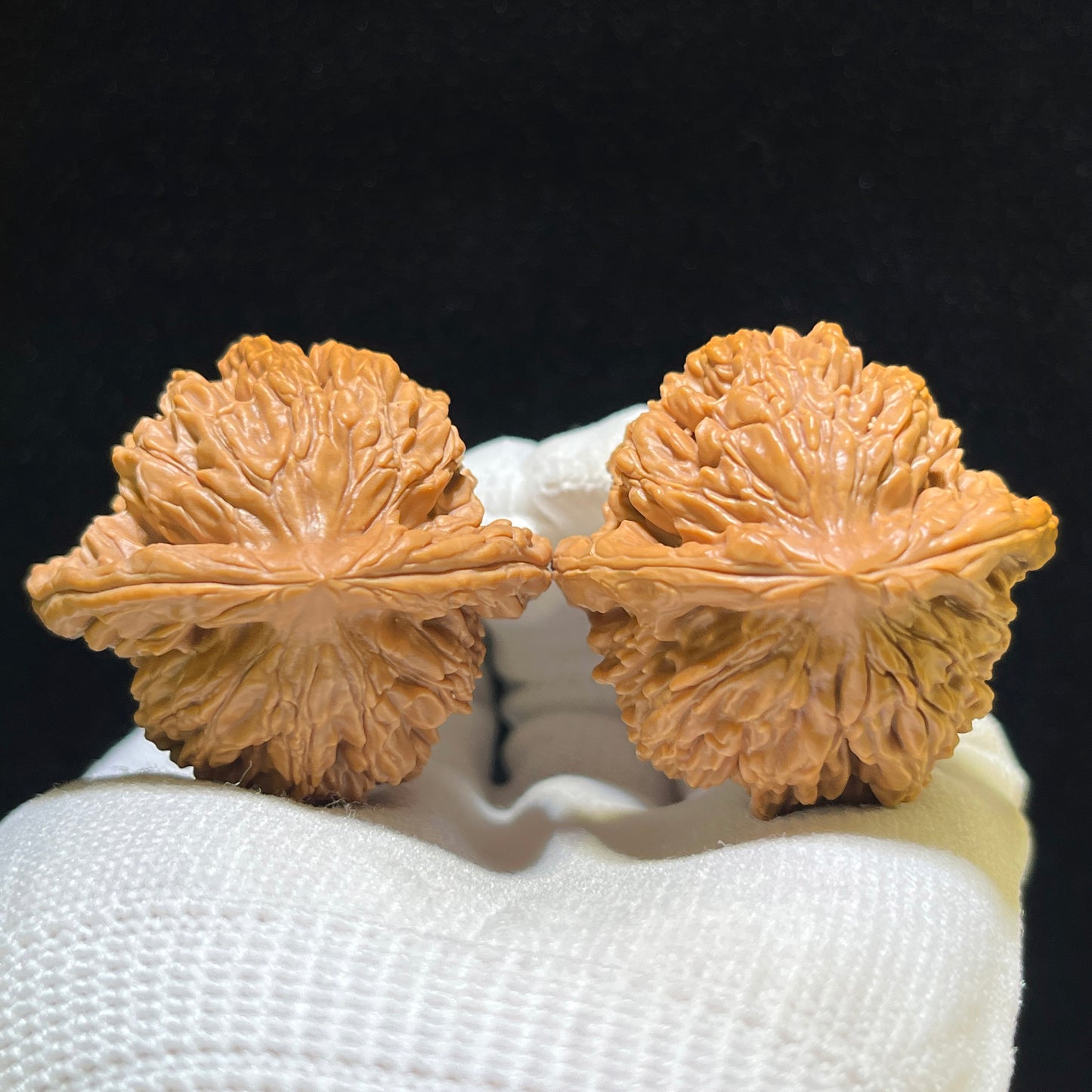 "Wheat Ear Tiger Head" Maisui Hutou Wenwan Walnuts Pair | 40.0mm x 39.0mm | MSHT-1102