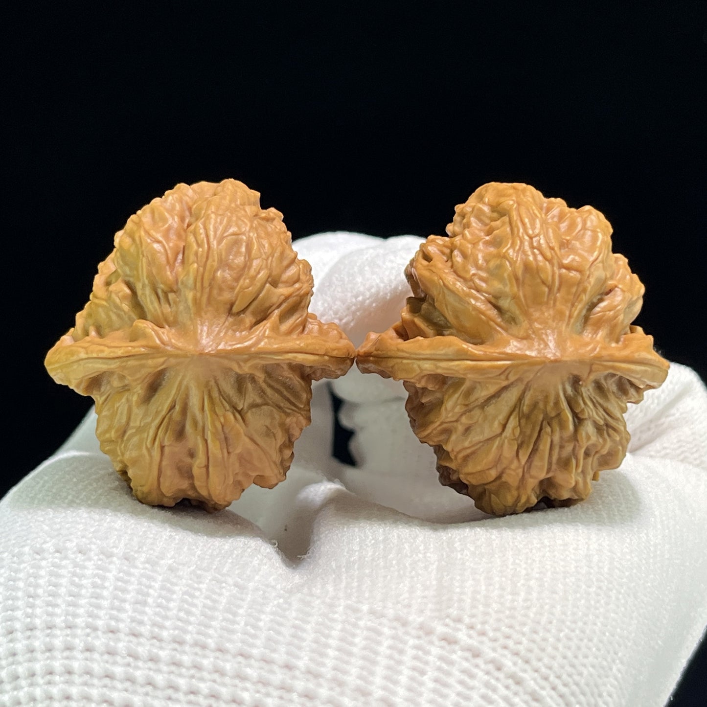 The "Wild Wolf" (Ye Lang) Full-Bellied Pocket Pair | 32.0mm x 35.0mm | YL-601