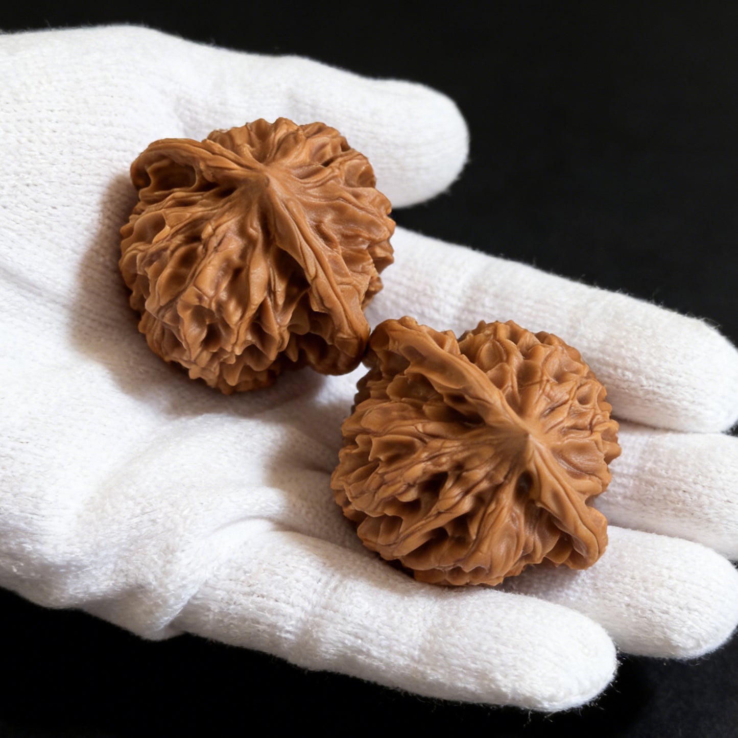 The "Qi Bu Gou" Pair | 38.0mm x 37.0mm | QBG-01