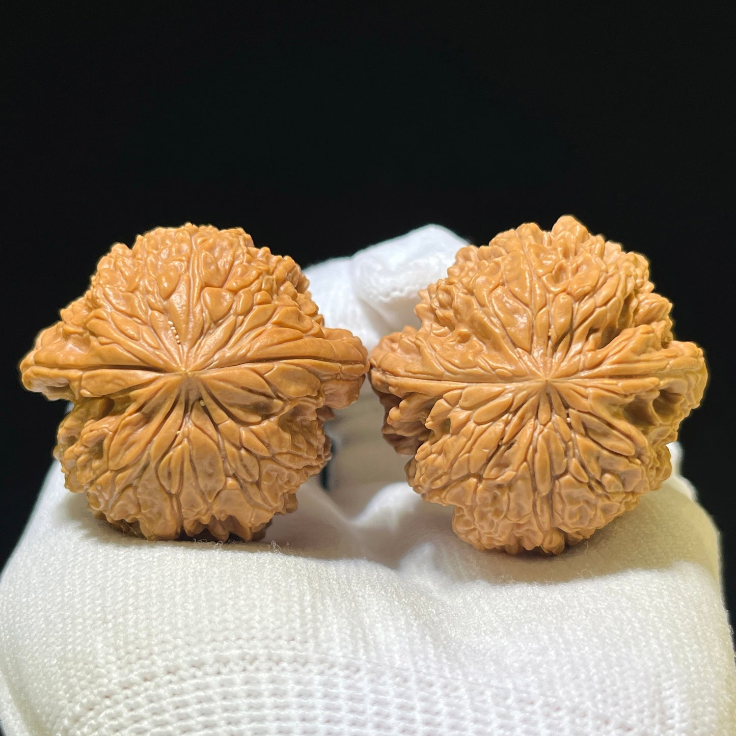 The Spectacular "Blizzard" Baixue Collector Pair | 40.0mm x 38.0mm | BX-1105