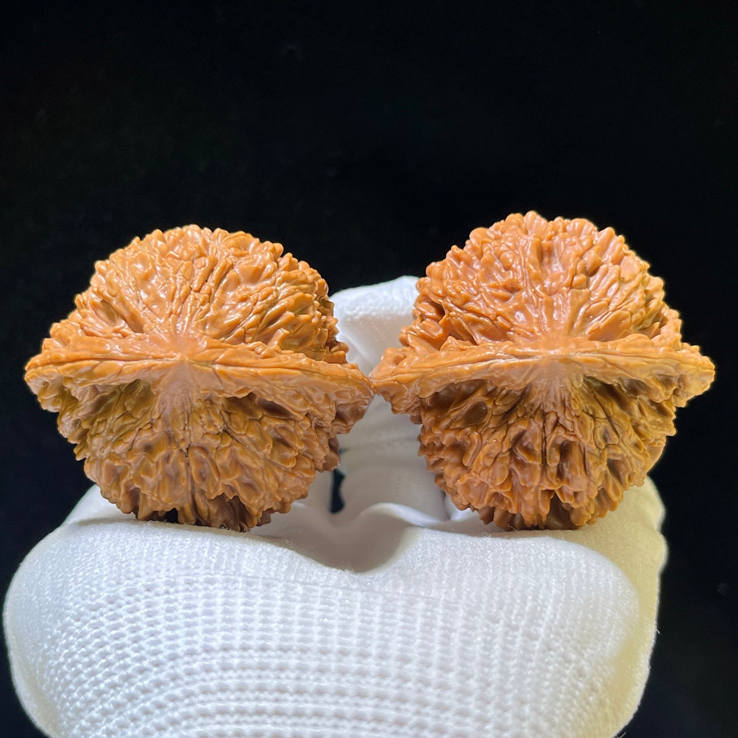 The Illustrious "Big Official Hat" Da Guanmao Premium Collection | 46.0mm x 43.0mm | DGM-1102