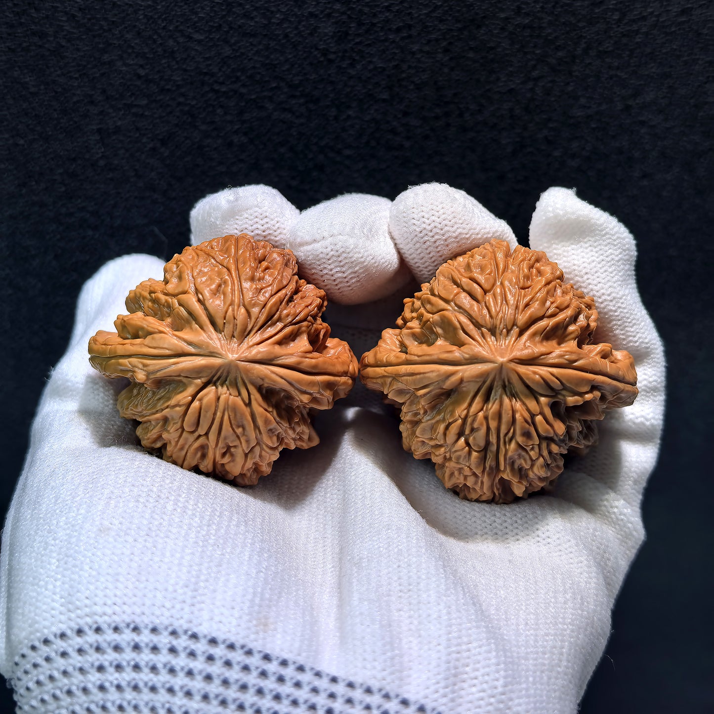 The "Blizzard" (Bao Xue) Pair | Boutique Grade | 44.0mm x 42.0mm | BX-401C