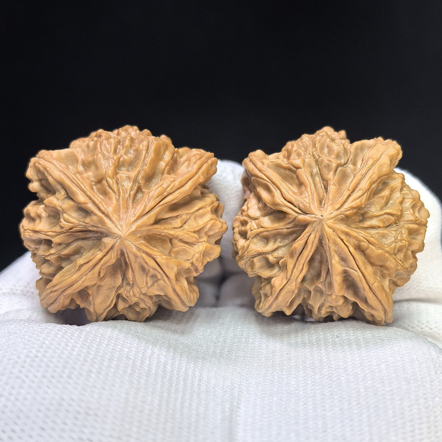 "Imperial Jade Seal X-Men" Yuxi Sileng X-Zhanjing Four-Ribbed Wenwan Walnuts Pair | 41.0mm x 40.0mm | YSFN-C227E