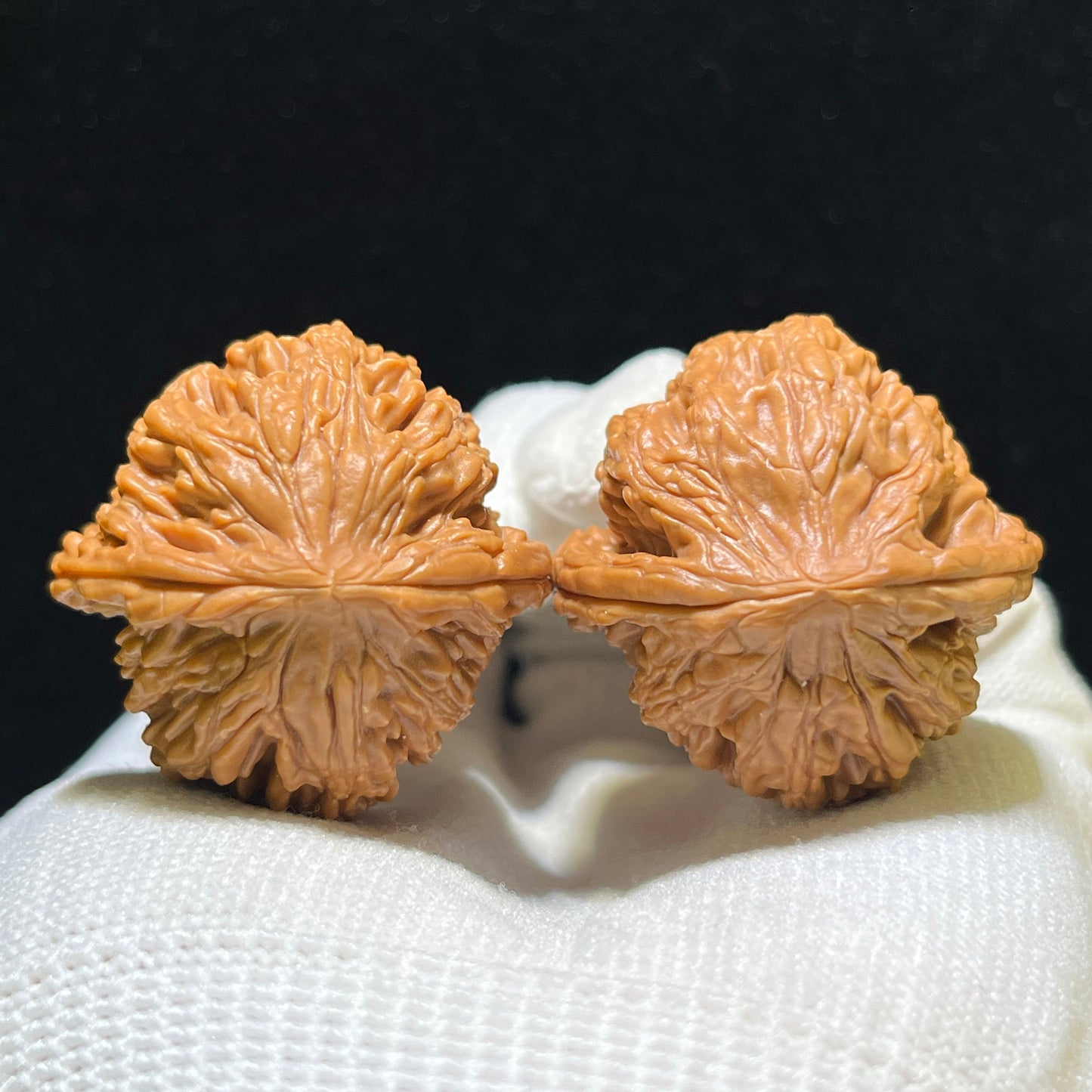 "Wheat Ear Tiger Head Pocket Size" Maisui Hutou Wenwan Walnuts Pair | 33.0mm x 33.0mm | MSHT-1105