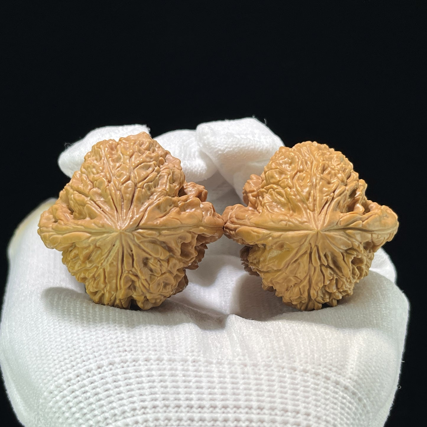 The "Blizzard" (Bao Xue) Ergonomic Giant Pair | 42.0mm x 40.0mm | BX-804