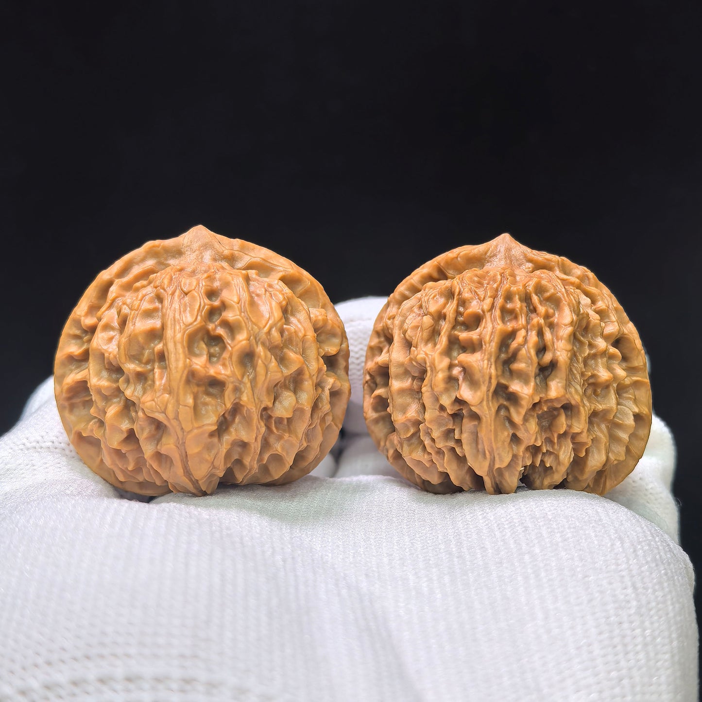 "Crescent Moon Lionhead" (Xuan Yue Shi Tou) Scholar Walnuts Pair | 39.0mm x 34.0mm | Low-Profile Broad-Edge Stance | Stock ID: XY-SY1C7