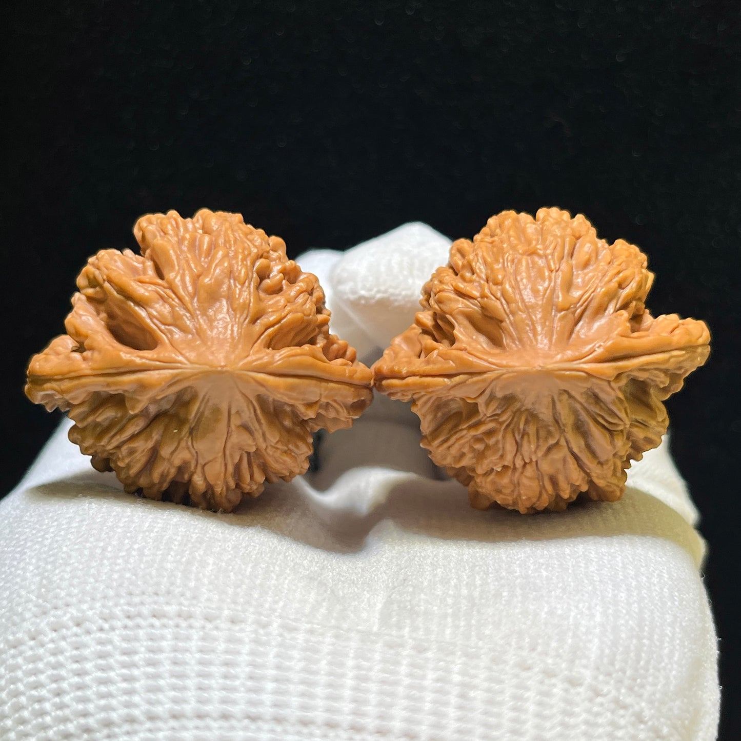 "Wheat Ear Tiger Head" Maisui Hutou Wenwan Walnuts (Pair) | 38.0mm x 34.0mm | Stock ID: MSHT-1108