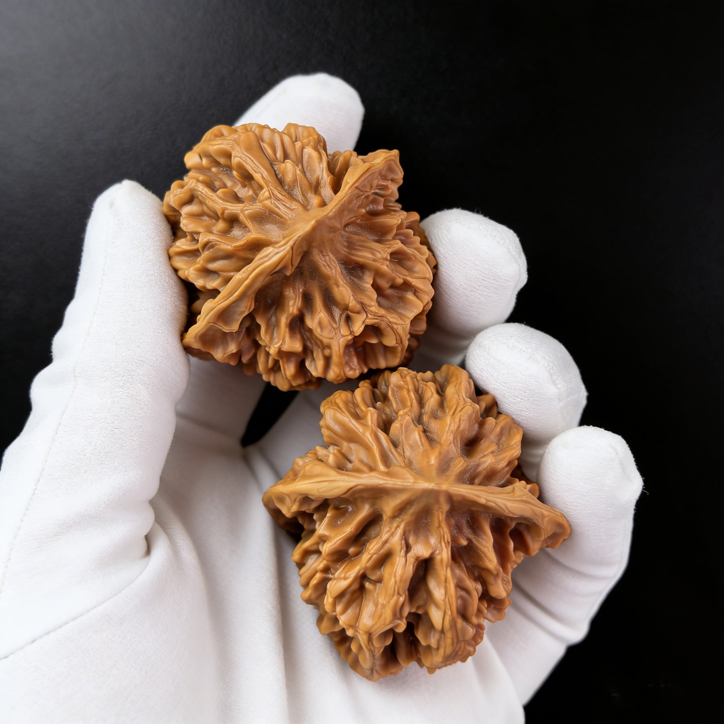 The "Emperor" (Di Wang) Pair | 46.0mm x 49.0mm | DW-302