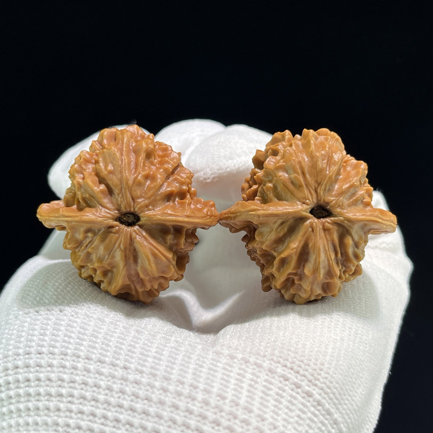 The "Coral Tower" (Shan Hu Ta) Miniature Balanced Pair | 33.0mm x 33.0mm | SHT-706