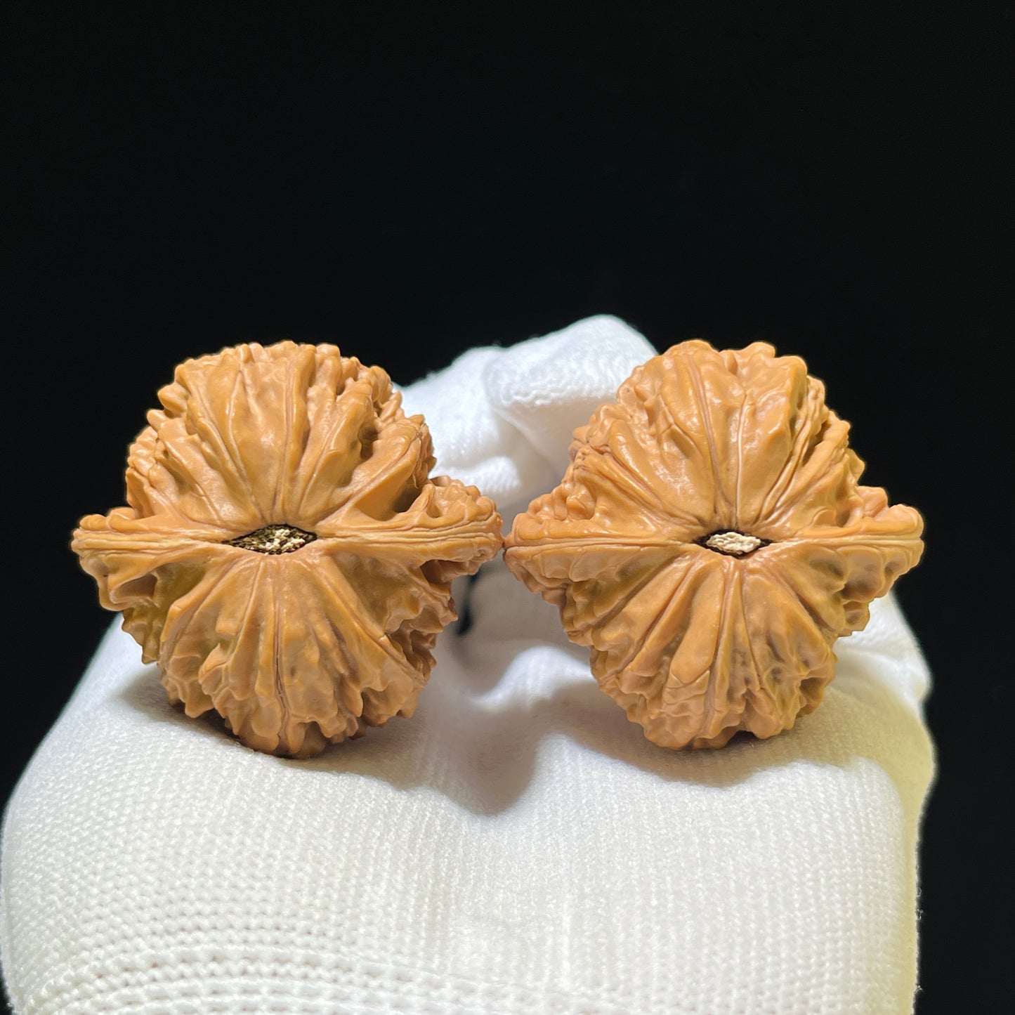 The "Ancient Millstone" (Mo Pan) Choice Miniature Scholar Walnuts | 39.0mm x 38.0mm | Compact Finger-Twirling Format | MP-1106