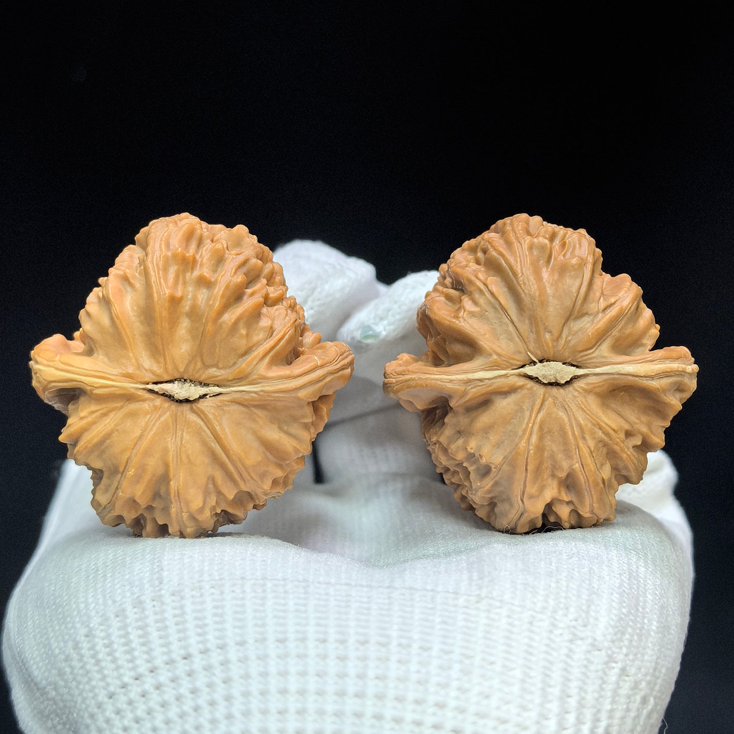 "Peach-Heart White Lion" Taoxin Baishizi Low-Profile Wenwan Walnuts Pair | 40.0mm x 42.0mm | BSJ-1503C