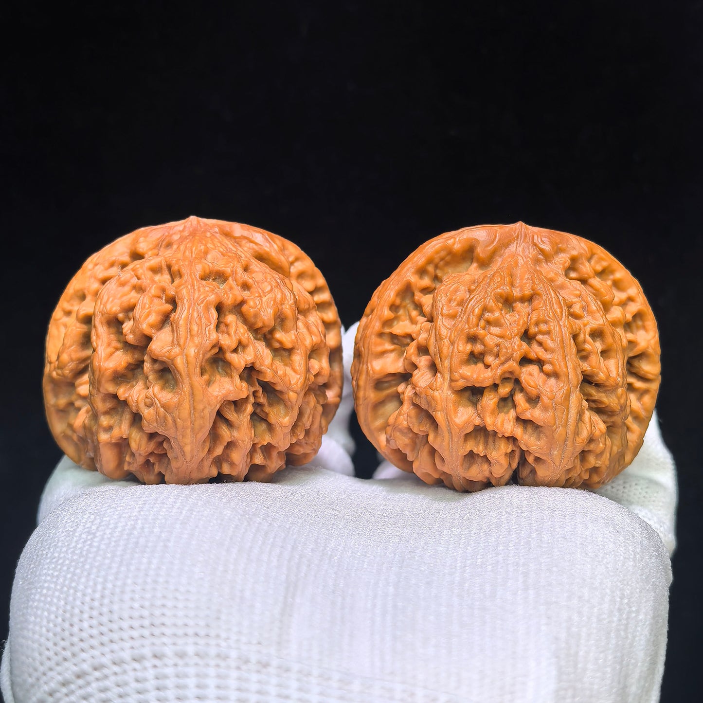 "Large Thick Rib" Dacujin Wenwan Walnuts Pair | 48.0mm x 47.0mm | DCJ-1551C