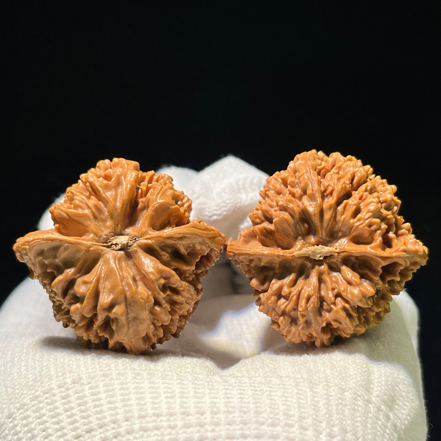 "Starry Sky" Mantianxing Wenwan Walnuts Pair | 37.0mm x 36.0mm | MTX-1105