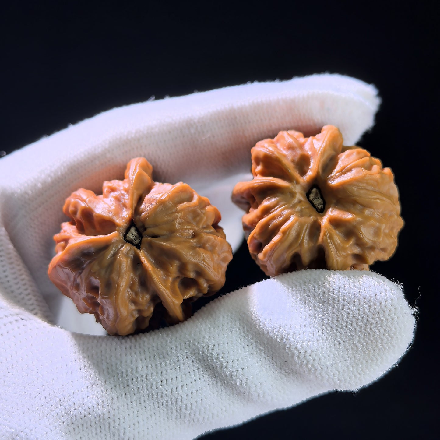 The "Long Zhan" (Dragon Gall) Trident Three-Ridge Pair | 31.0mm x 31.0mm | LZSN-1201E