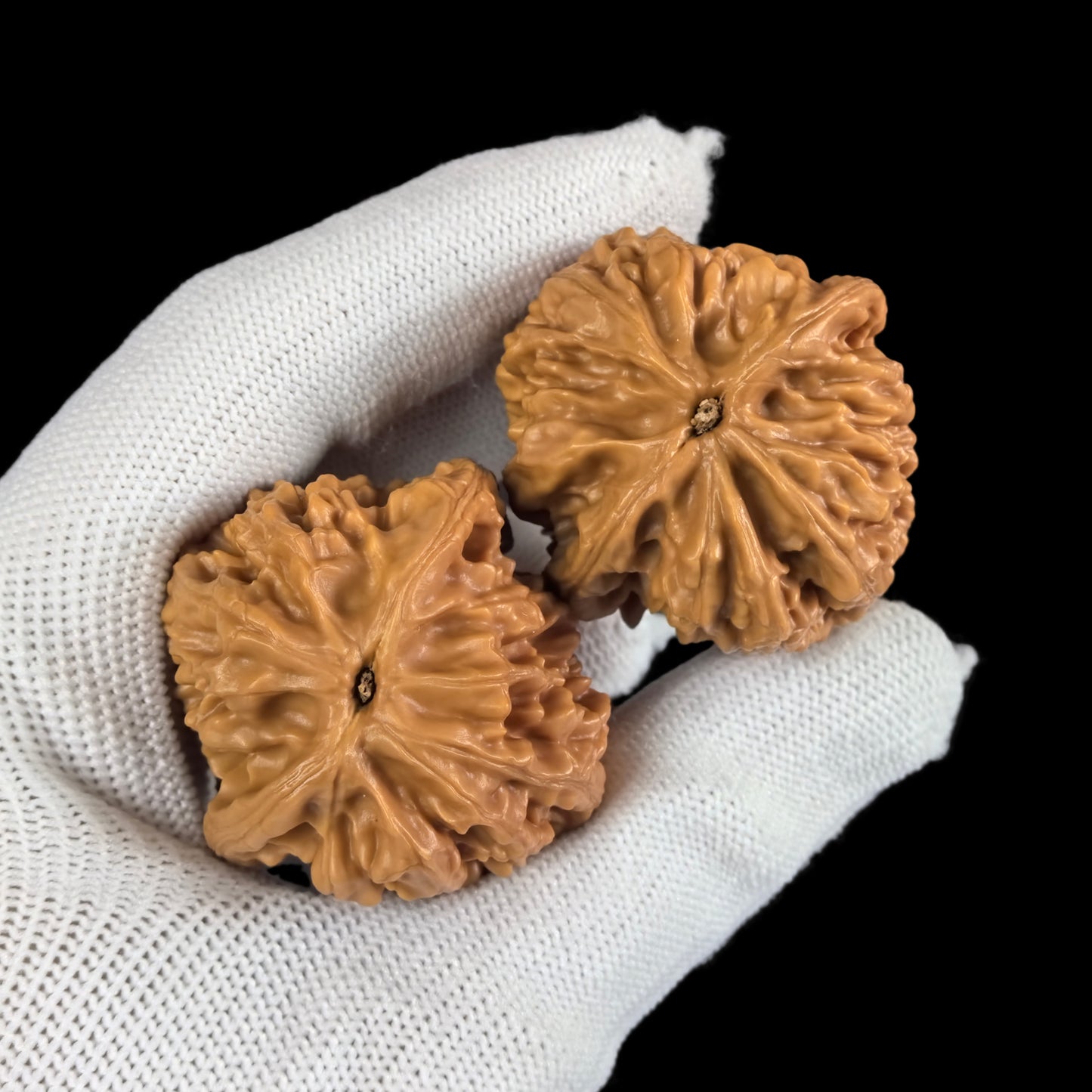 The "Chilong Chicken Heart" (Red Dragon Jixin) Pair | 45.0mm | BBJX-104