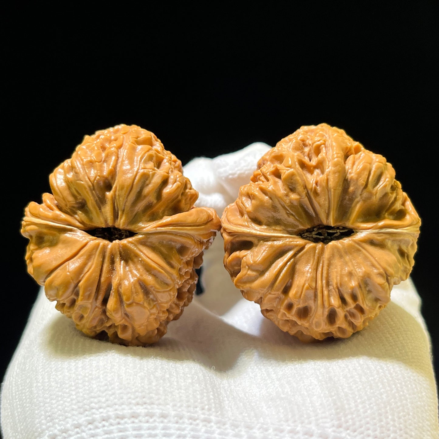 The Royal "Grand Reunion" Datanyuan Lion Head Masterpiece | 38.0mm x 43.0mm | DTY-1101