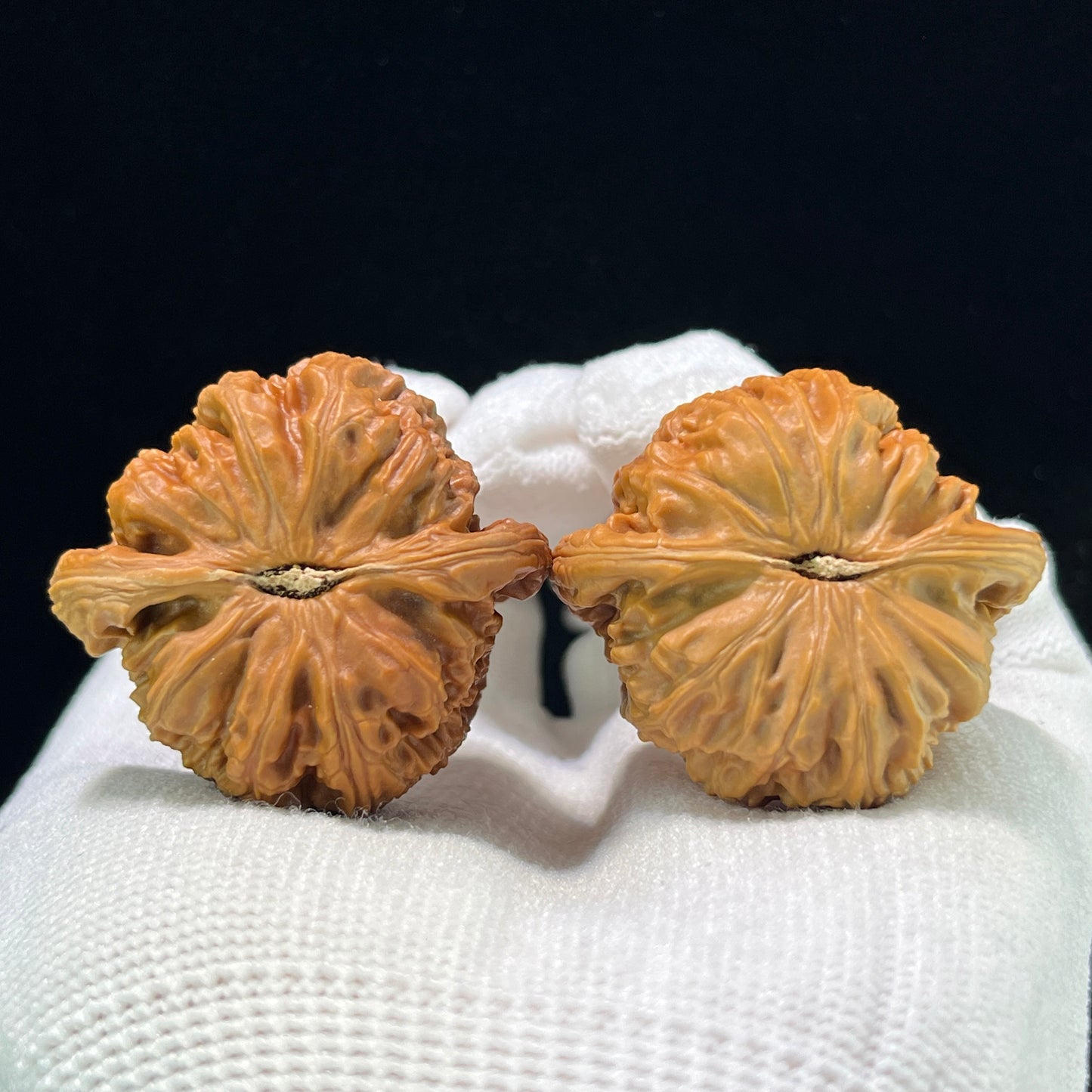 The Royal "White Lion" Baishizi Lion Head Pocket Masterpiece | 37.0mm x 35.0mm | BSZ-1002