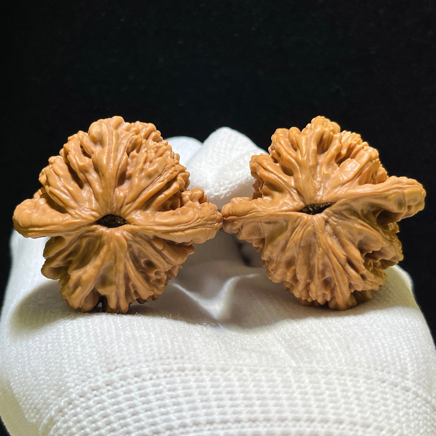 "Wheat Ear Tiger Head" Maisui Hutou Wenwan Walnuts Pair | 40.0mm x 38.0mm | MSHT-1106