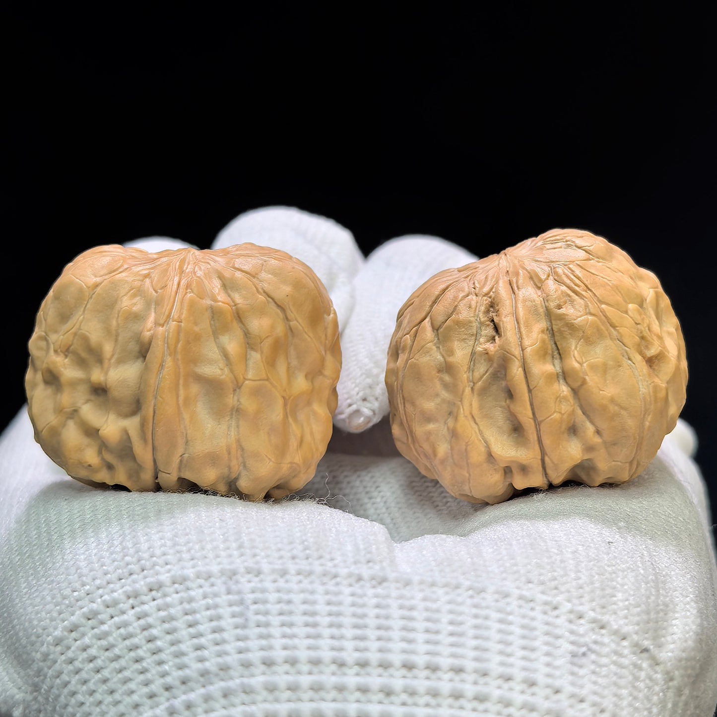 "Golden Toad Vessel" Jinchanzun JCZ-1601 Low-Profile Wenwan Walnuts Pair | 29.0mm x 34.0mm | JCZ-1601