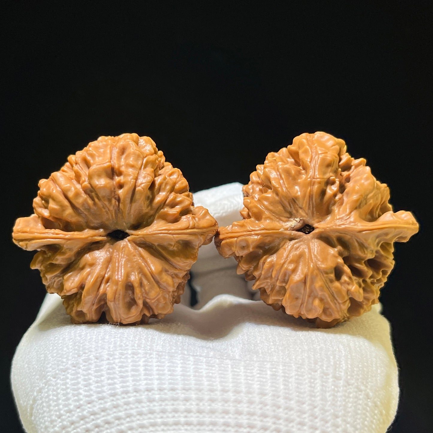 The Illustrious "Official Hat" Guanmao Premium Pair | 46.0mm x 43.0mm | GM-1104