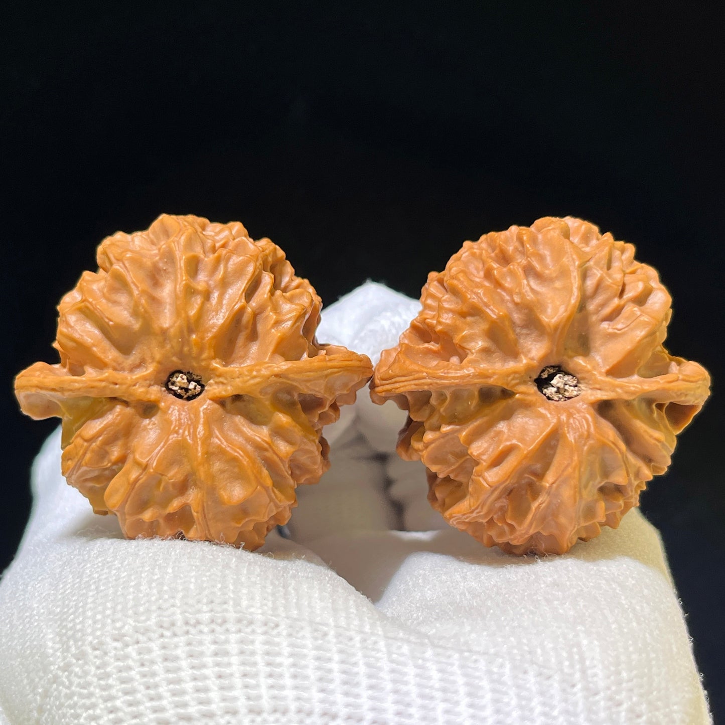 The Exquisite "Concave Base Apple Orchard" Aodi Pingguoyuan Collector Pair | 41.0mm x 40.0mm | ADPGY-1102