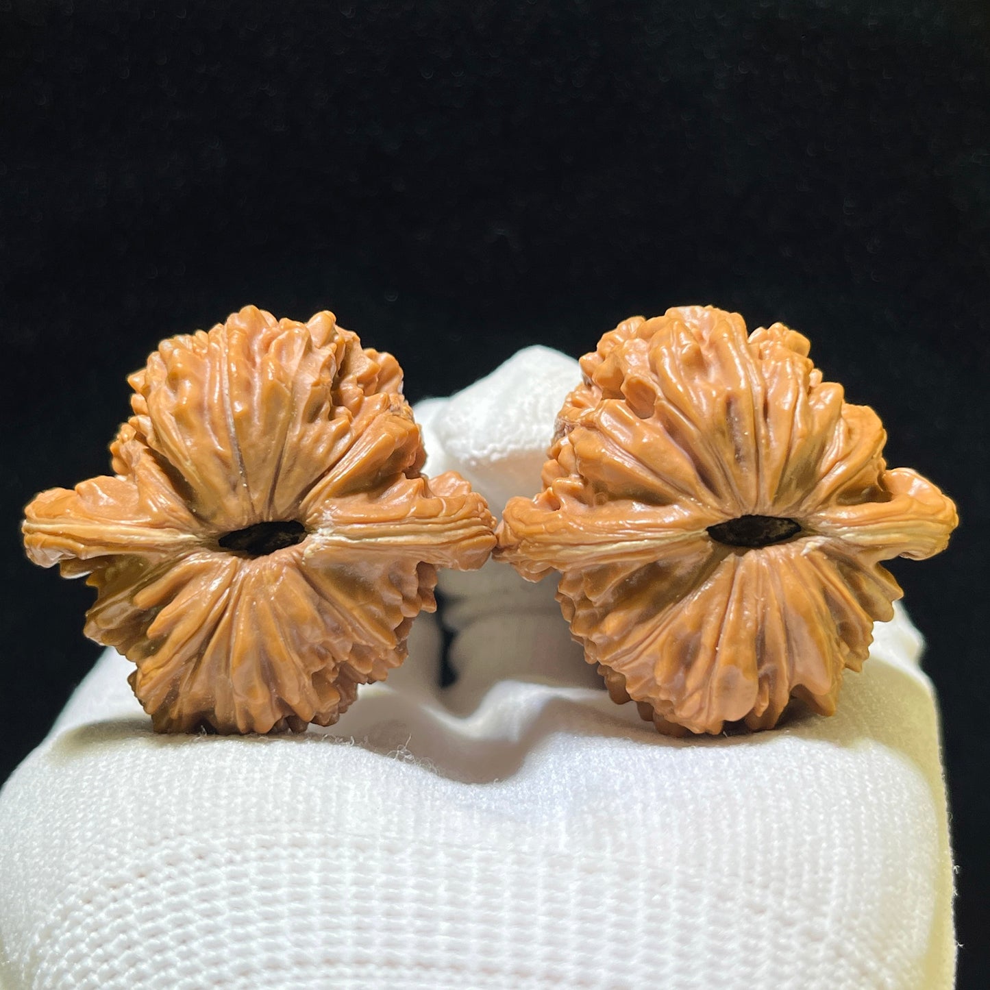 Sizuolou Scholar Walnuts Pair | 40.0mm x 38.0mm | Classic Deep-Belly Format | Stock ID: SZL-1104