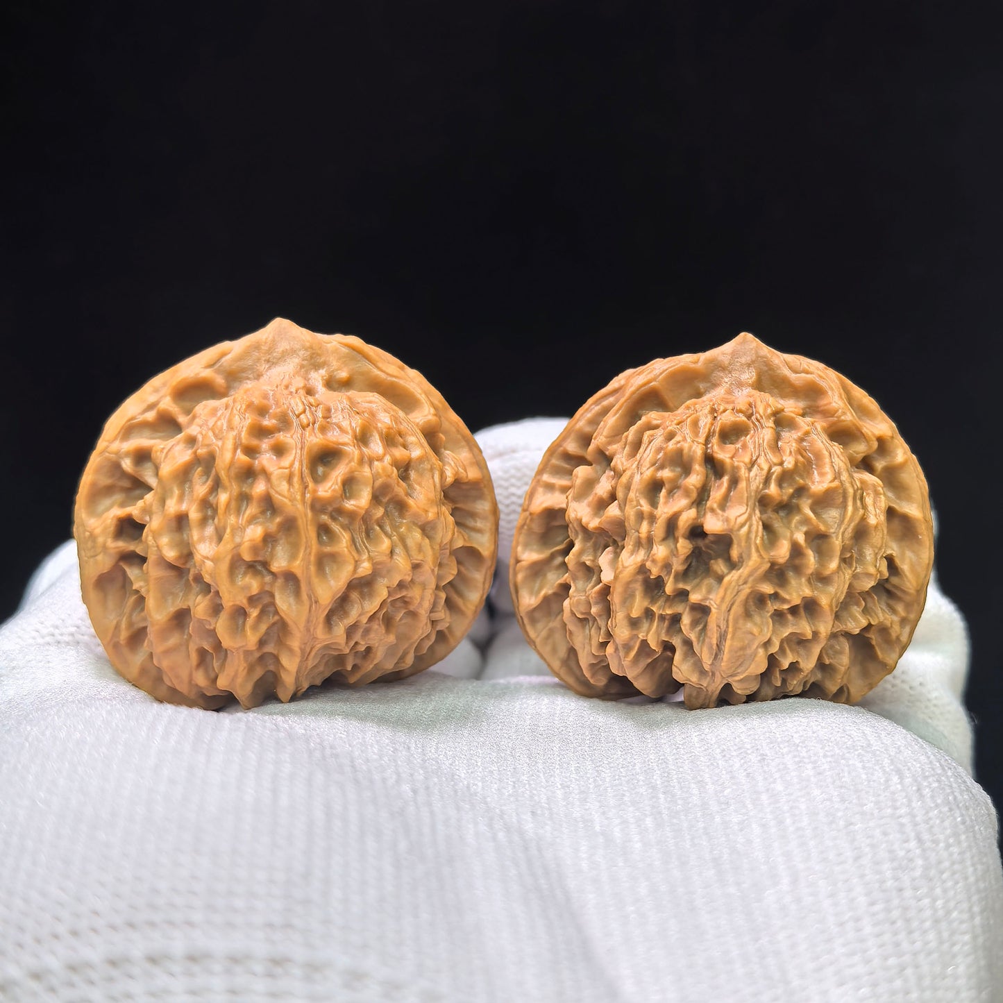 "Crescent Moon Lionhead" (Xuan Yue Shi Tou) Scholar Walnuts Pair | 39.0mm x 34.0mm | Low-Profile Broad-Edge Stance | Stock ID: XY-SY1C7