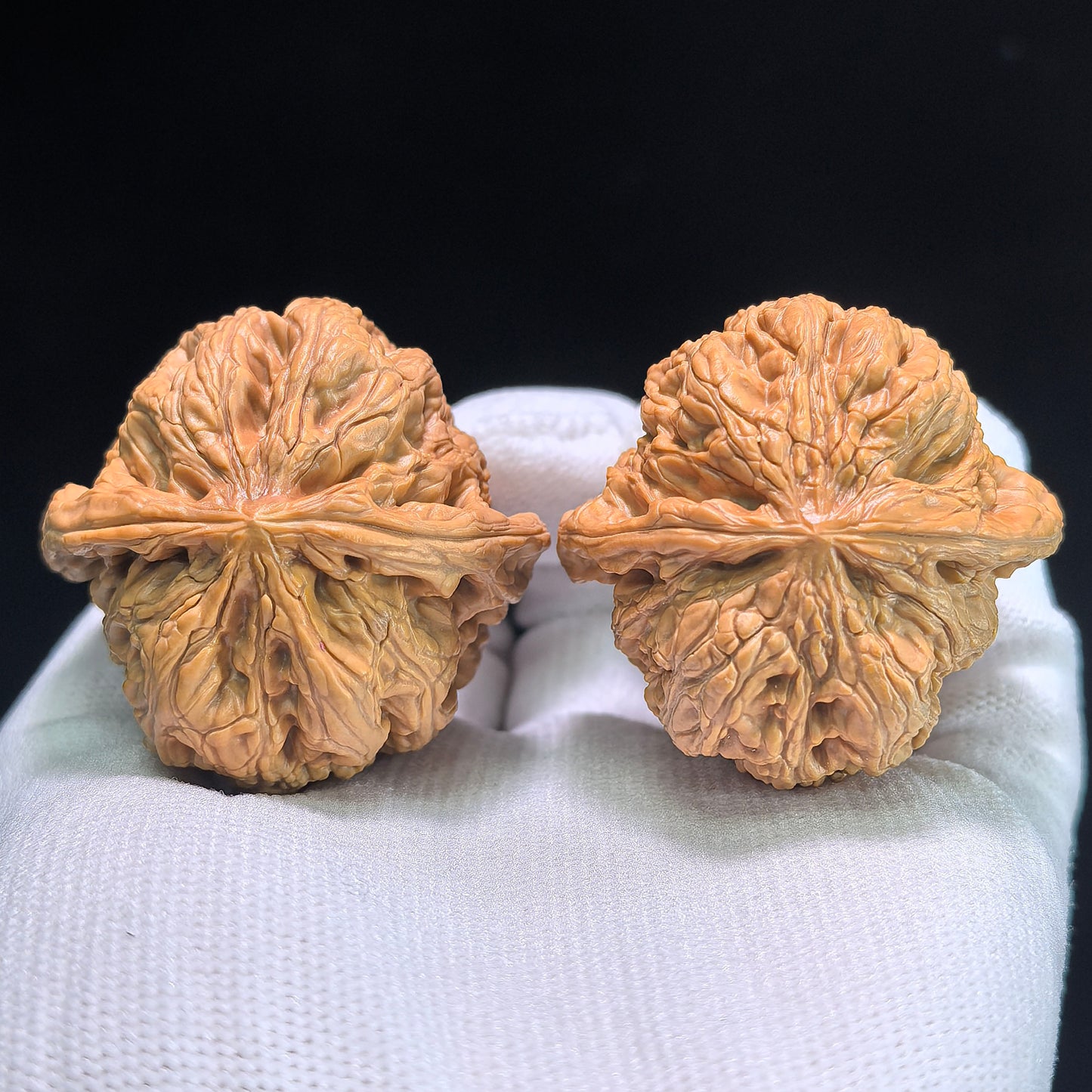The "Thick Ridge" (Cu Jin) Pair | 43.0mm x 41.0mm | CJ-802