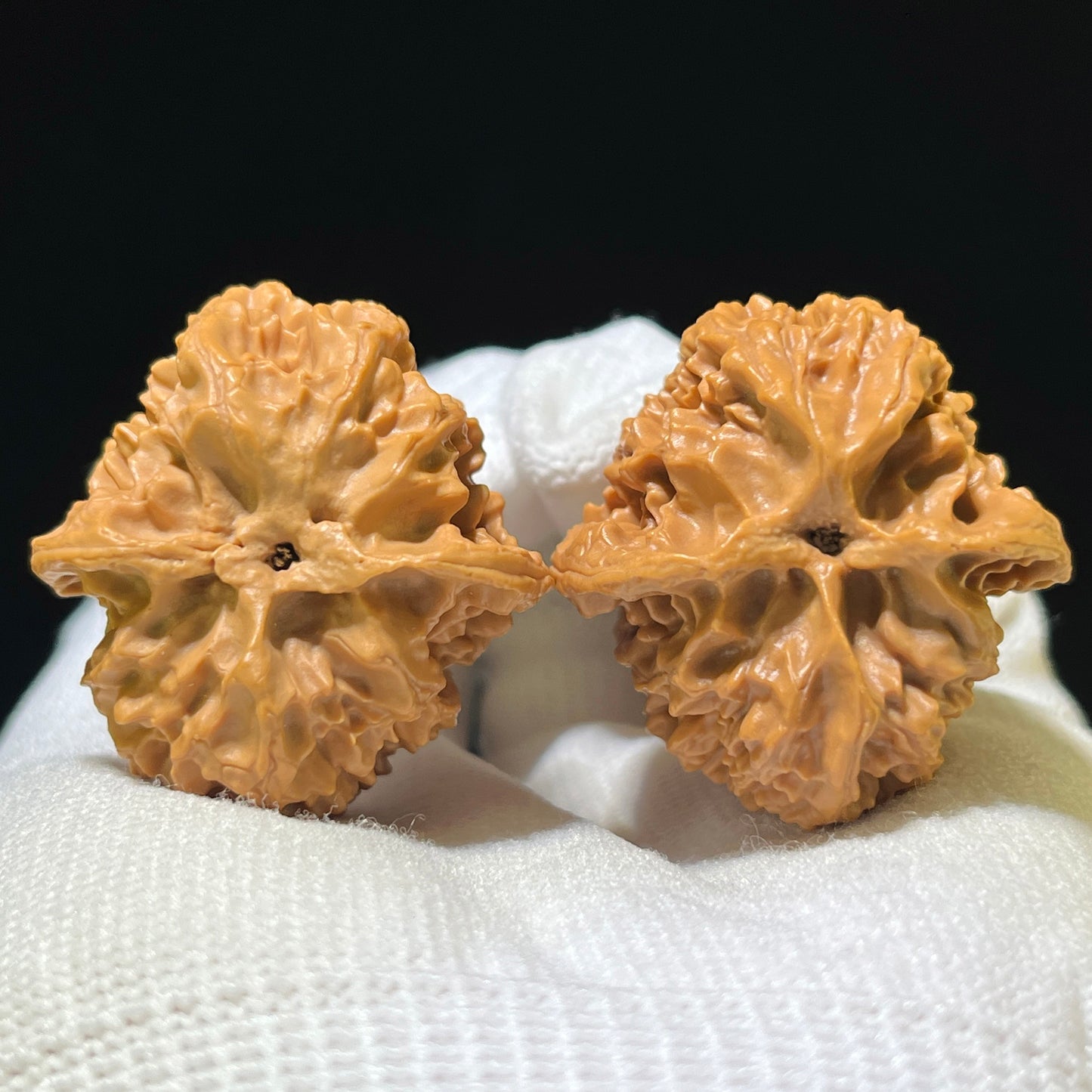 "Apple Garden" Pingguoyuan Hand-Twist Shou Nian Wenwan Walnuts (Pair) | 34.0mm x 36.0mm | Stock ID: PGY-1104