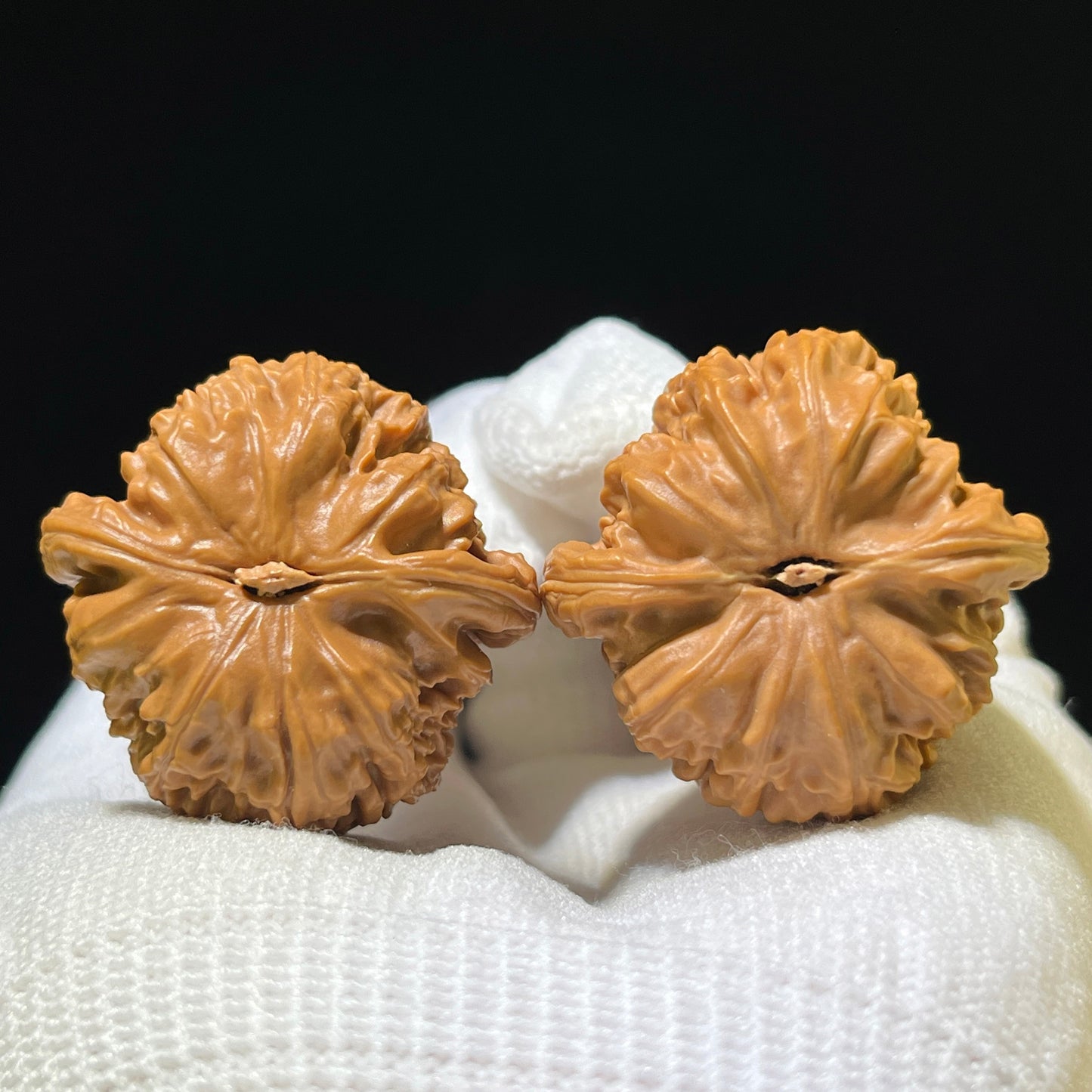 Triangle White Lion Head (Sanjiao Bai Shi Zi) Scholar Walnuts Pair | 41.0mm x 39.0mm | Collector Grade (Lightly Fine-Tuned) | Stock ID: SJBSZ-1101