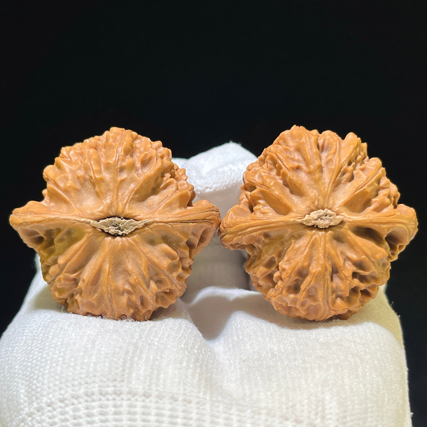 Gongdeng Lion Head (Palace Lantern) Scholar Walnuts Pair | 42.0mm x 41.0mm | Stock ID: GD-1103