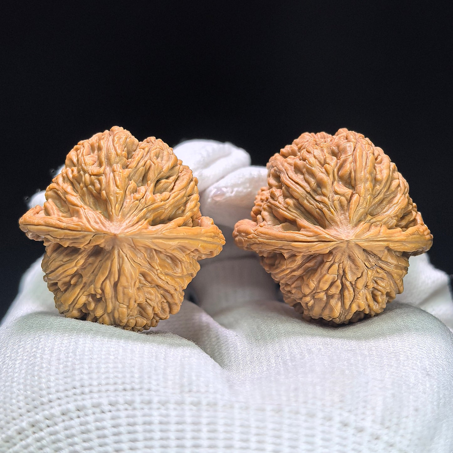 "Peach Heart Ruby" Taoxin Hongbaoshi Wenwan Walnuts Pair | 34.0mm x 35.0mm | HBS-1403