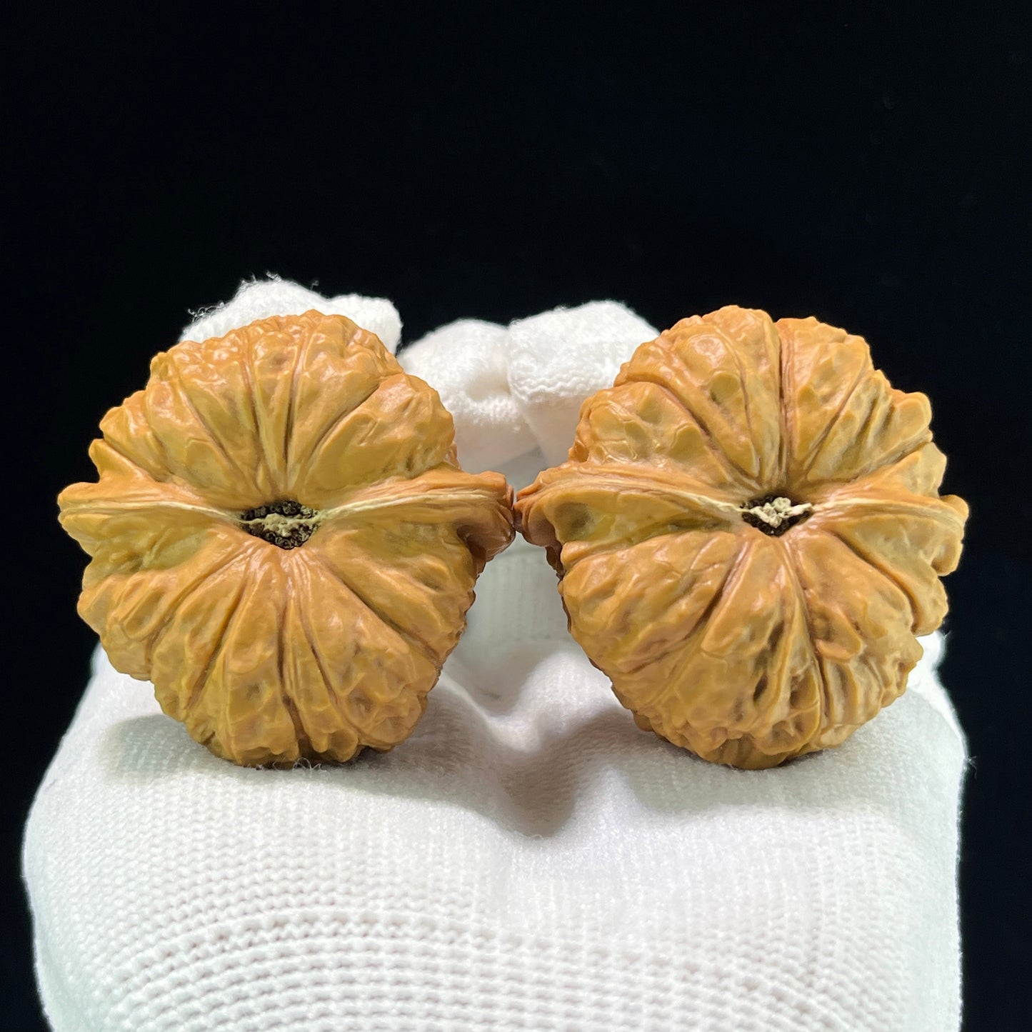 The Symmetrical "Pumpkin Pier" Nanguadun Lion Head Masterpiece | 41.0mm x 42.0mm | NGD-1001