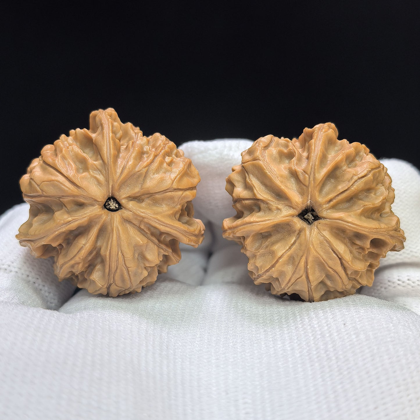 "Imperial Jade Seal Three-Ribbed" Yuxi Sanleng Multi-Ribbed Wenwan Walnuts Pair | 34.0mm x 34.0mm | YSSN-C224E