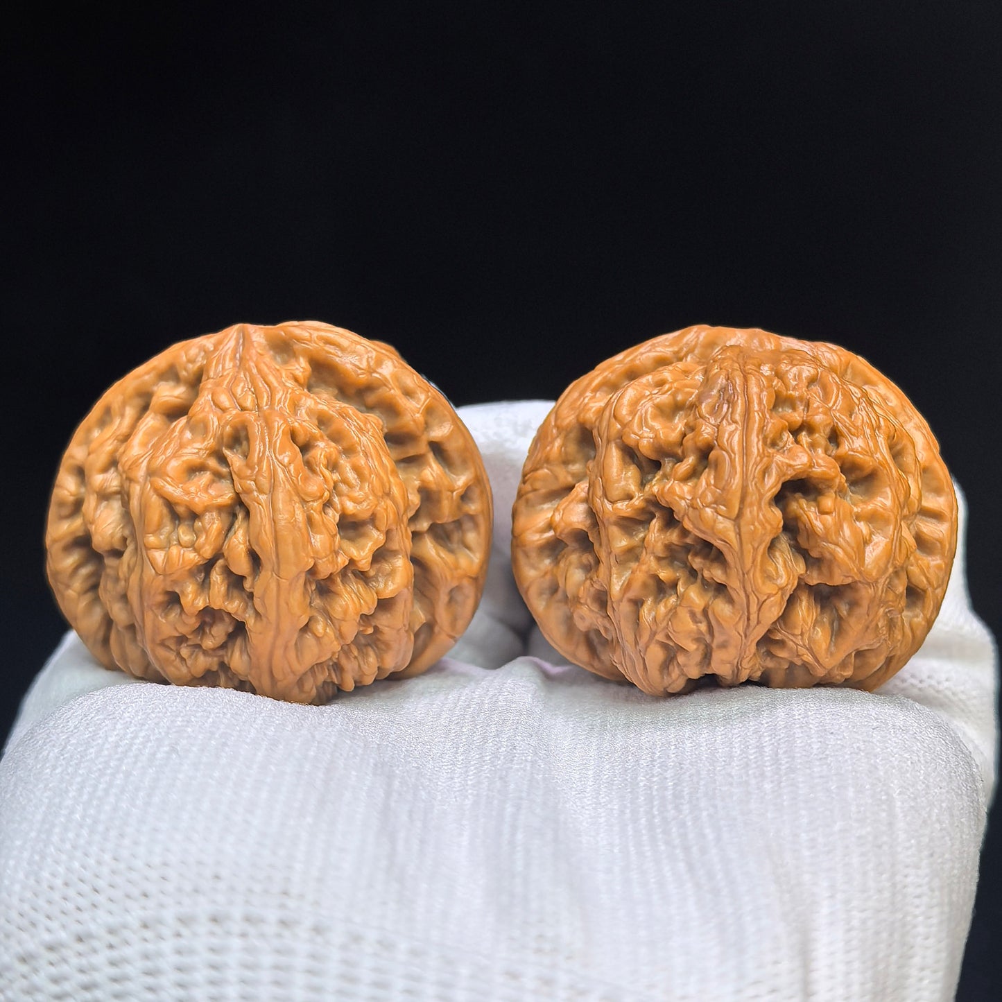 "Thick Ridge" Cujin Wenwan Walnuts Pair | 44.0mm x 44.0mm | CJ-101SY