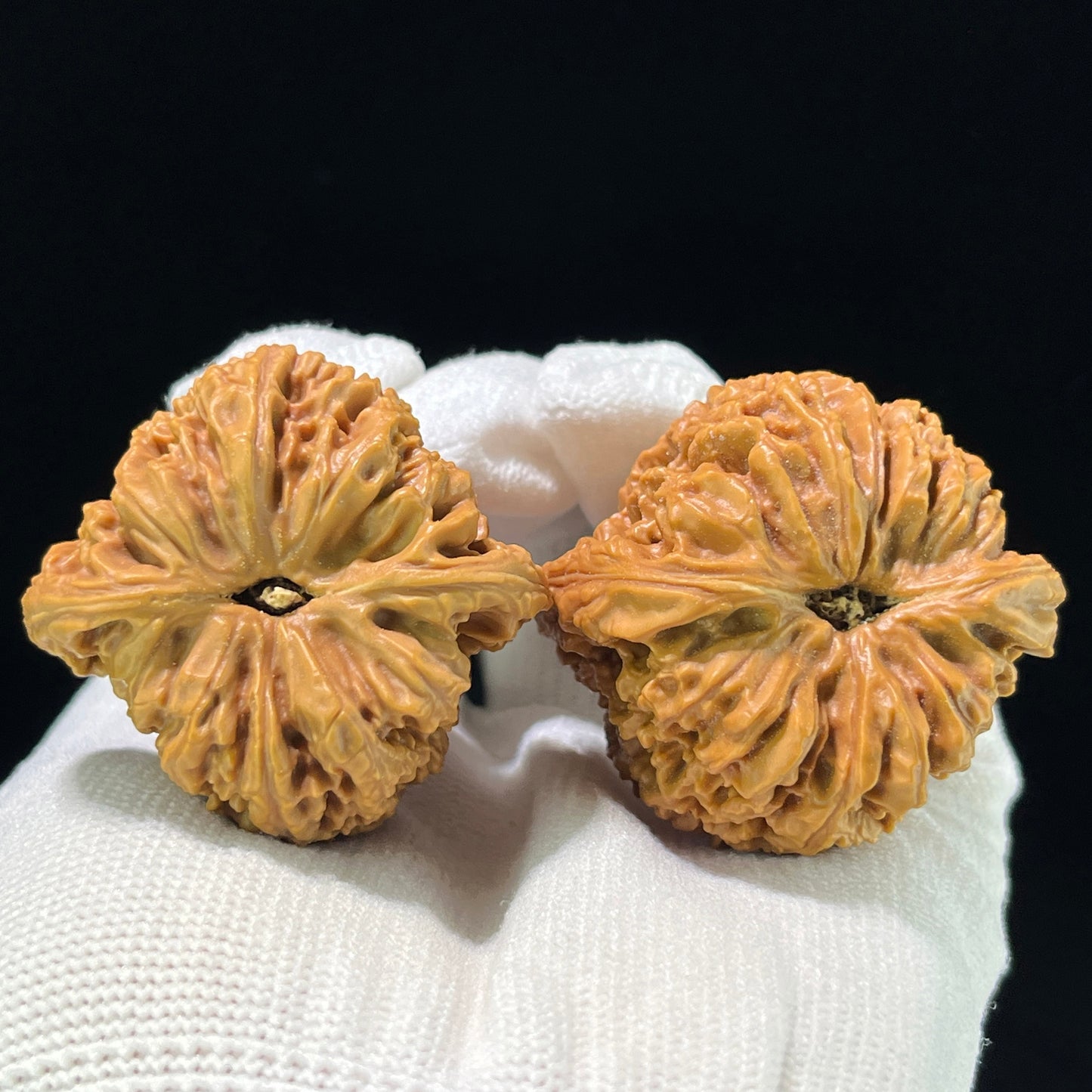 The "Nanjiangshi" (NJS) Heritage Grand-Scale Lion Head Pair | 47.0mm x 46.0mm | NJS-908
