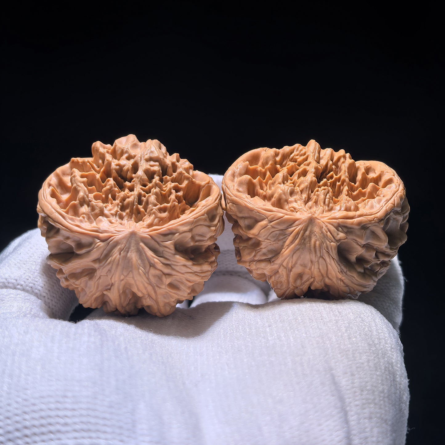 The "Big Ridge" Snake-Head Treasure Basin (Ju Bao Pen) | 40.0mm x 33.0mm | CJST-1201E