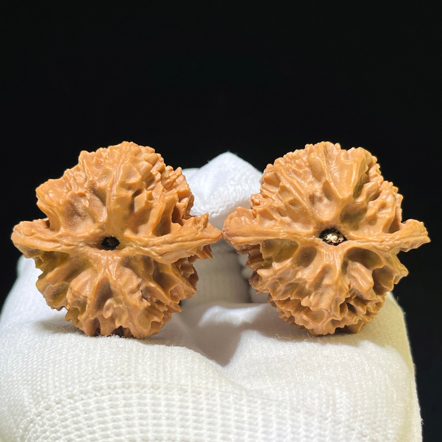 The "Concave Base Apple Orchard" (Ao Di Pingguoyuan) Premium Low-Profile Pair | 41.0mm x 39.0mm | Classic Ingot Posture | ADPGY-1101