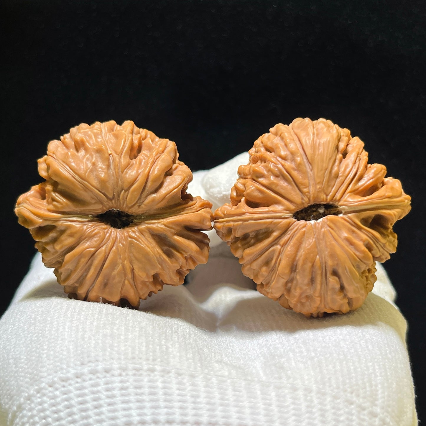 Sizuolou Lion Head (Si Zuo Lou) Scholar Walnuts Pair | 40.0mm x 40.0mm | Stock ID: SZL-1101