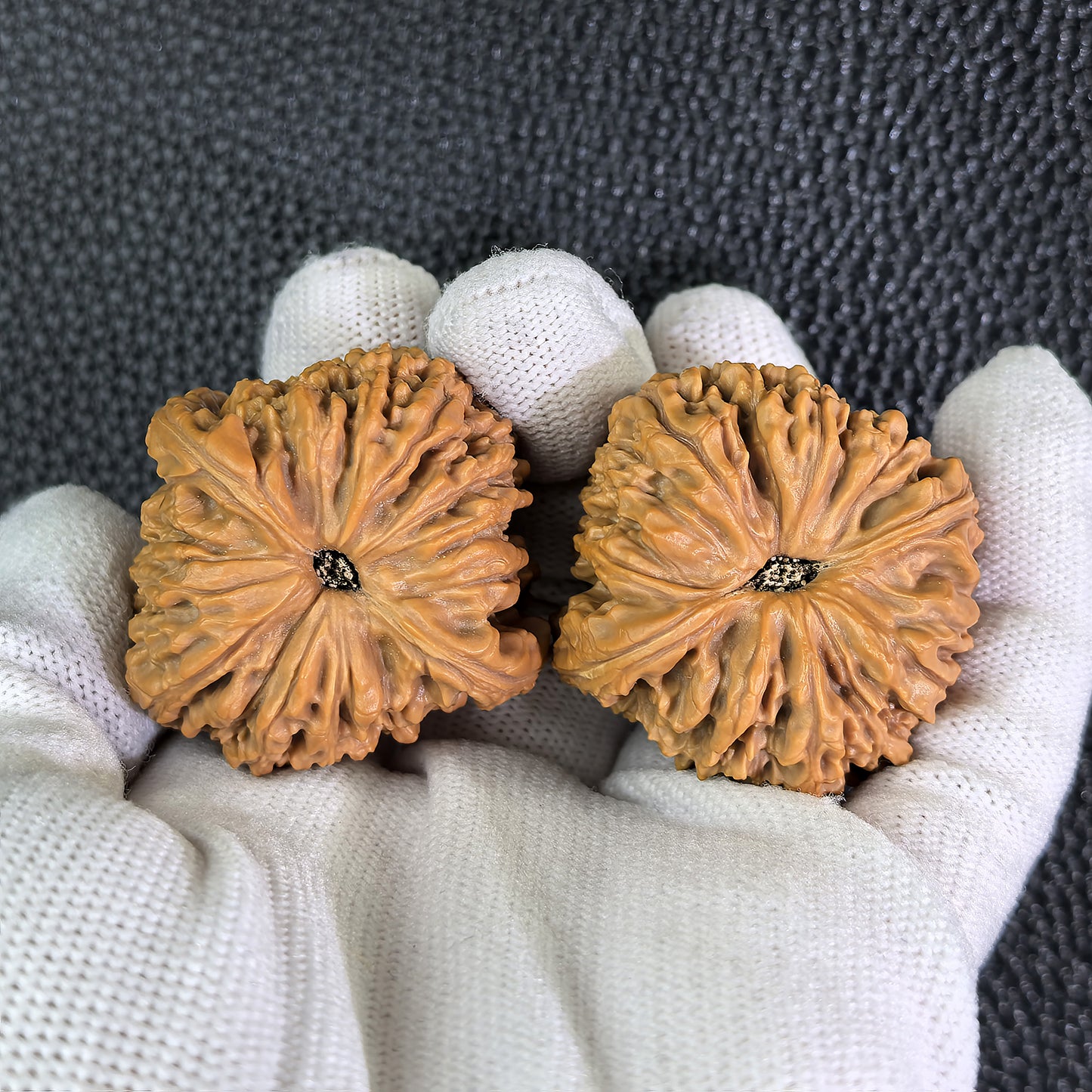 The "Hundred Longevity" (Bai Shou) Pair | 42.0mm x 42.0mm | BSJ-403