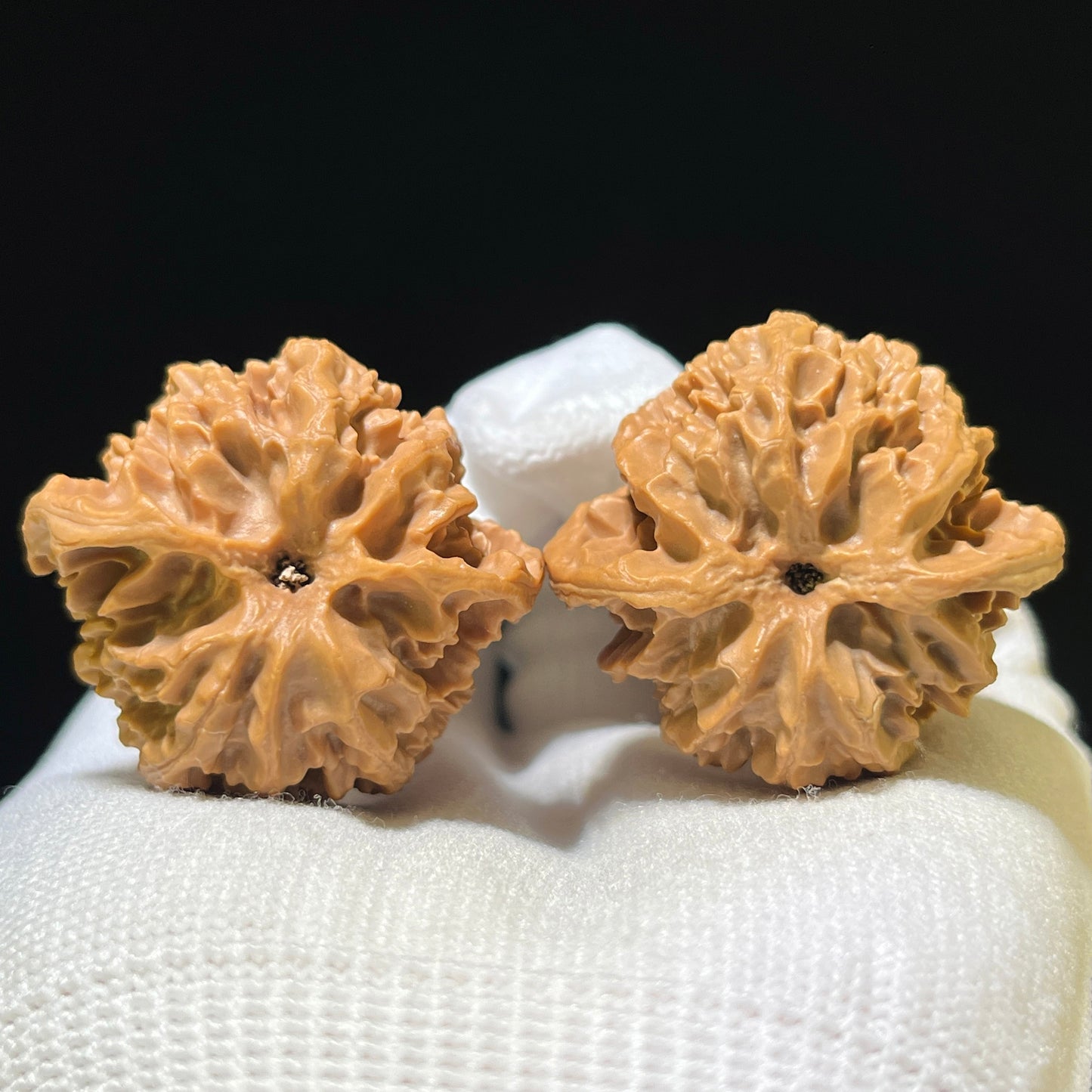 "Apple Garden" Pingguoyuan Wenwan Walnuts Pair | 37.0mm x 34.0mm | PGY-1103