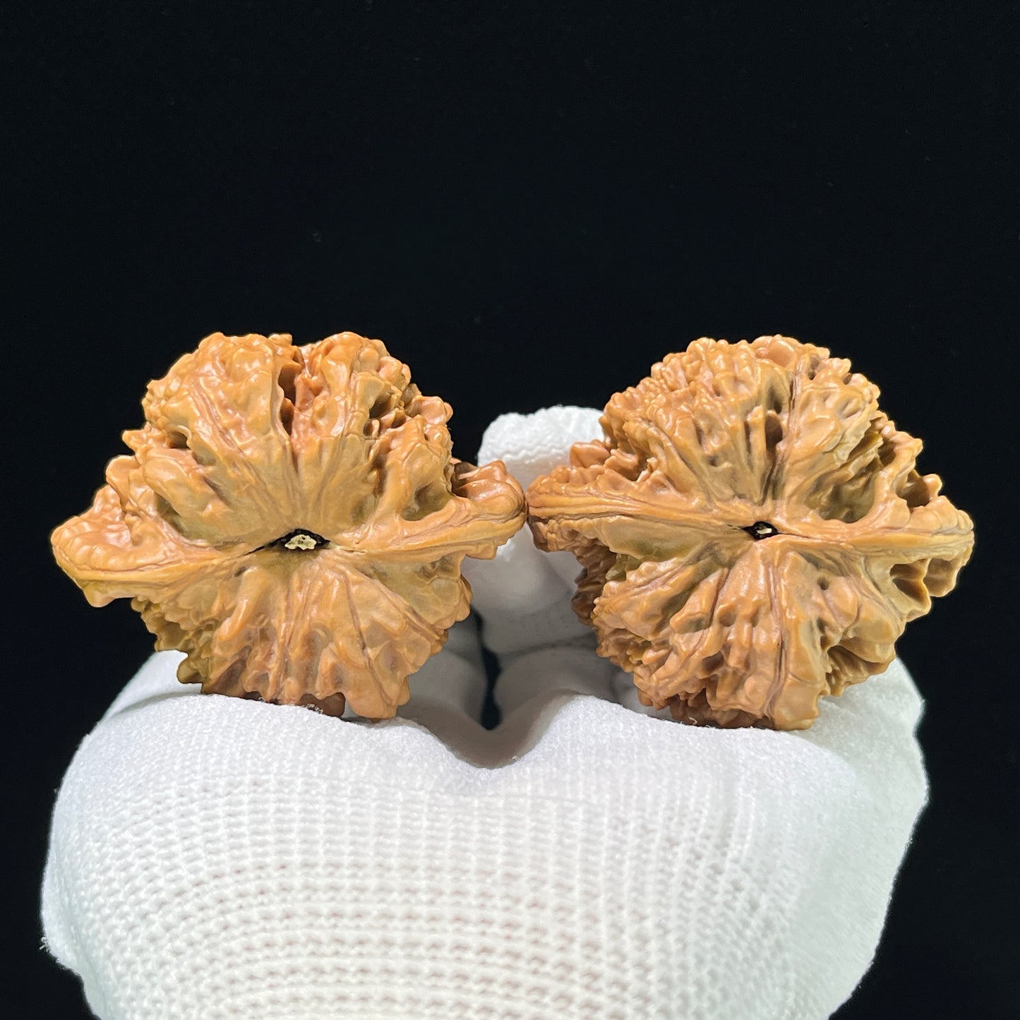 The "Grand Official's Hat" (Da Guan Mao) Collector-Scale Broad Edge Pair | 49.0mm x 39.0mm | DGM-903
