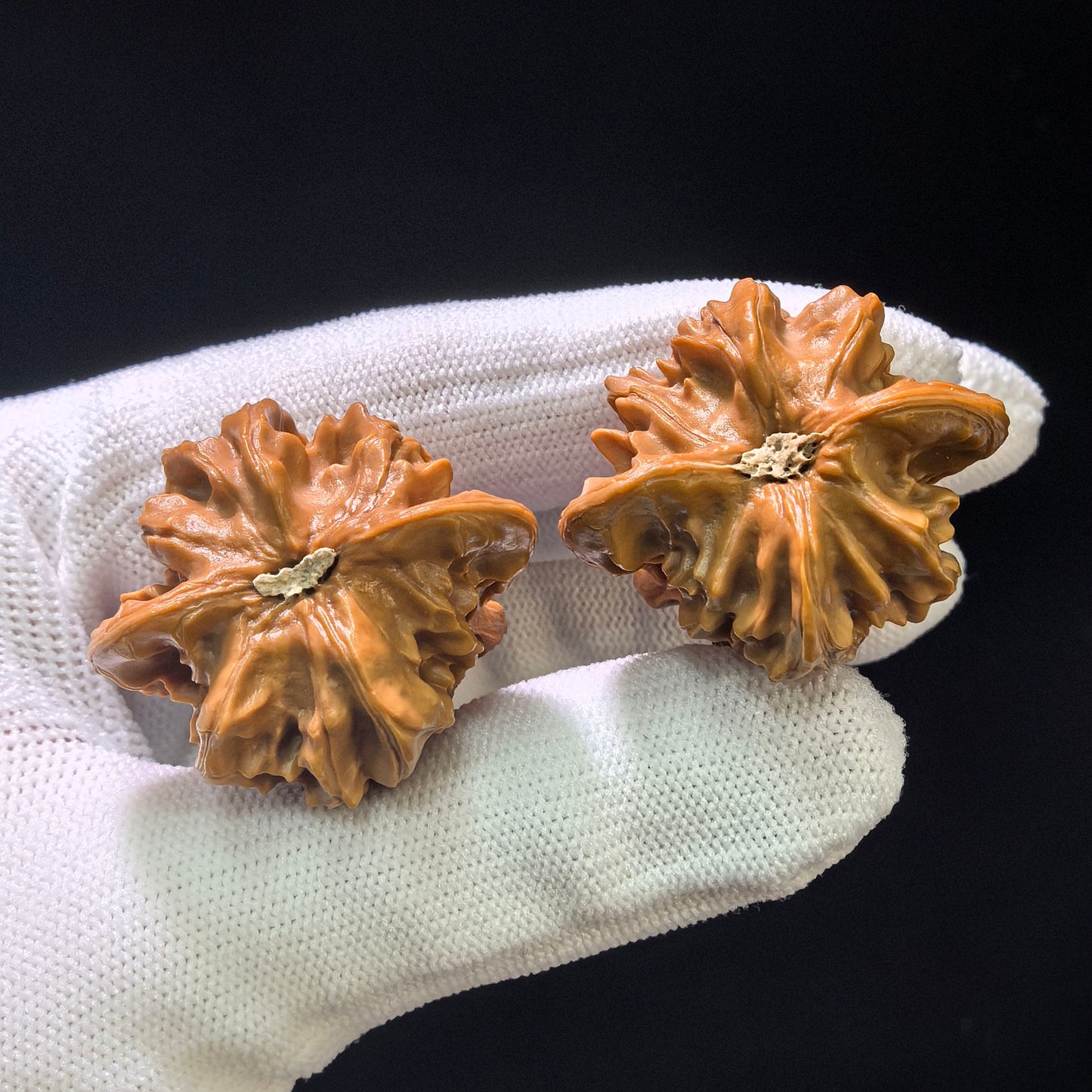 The Auspicious "Gourd of Wealth and Fortune" Hulu (Fu Lu) Pocket Singularity | 33.0mm x 30.0mm | FLHL-401E