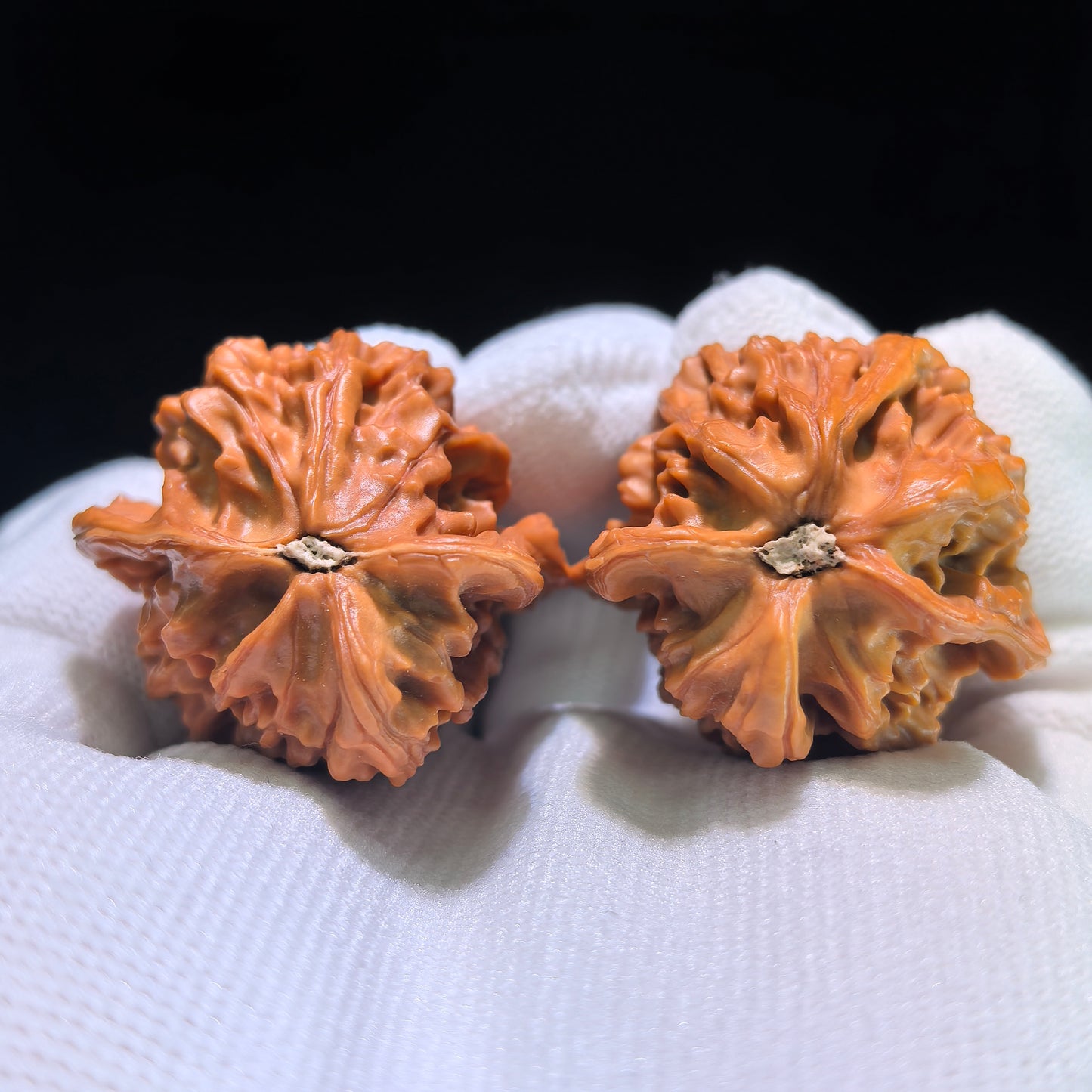 The "Panshan Dolphin" (Xiao Hai Tun) Collector’s Pair | 35.0mm x 31.0mm | XHT-1201E