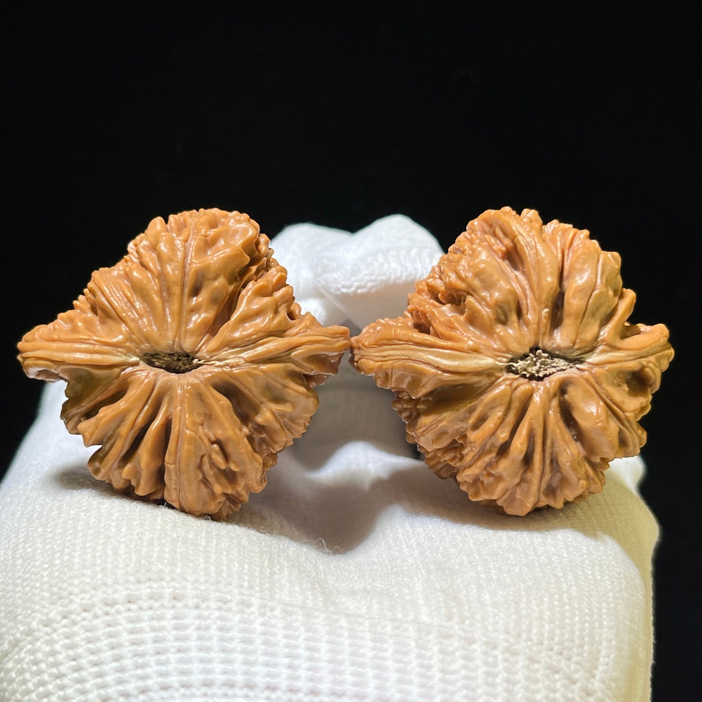 "Nanjiangshi Lionhead" Nanjiangshi NJS-1111 Low-Profile Wenwan Walnuts Pair | 39.0mm x 37.0mm | NJS-1111